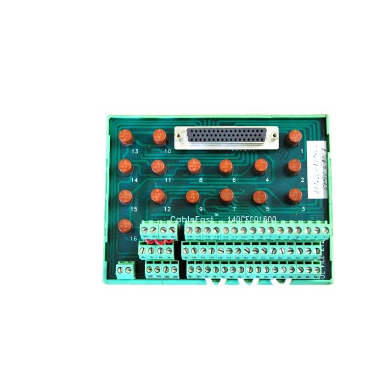 Schneider 140CFG01600 Digital Output Block, Fuseperpt 30-Day Returns！