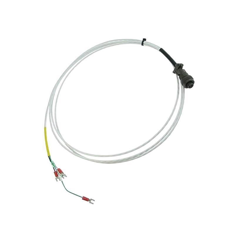 Bently Nevada 16925-10 Interconnecting Cables Trusted supplier