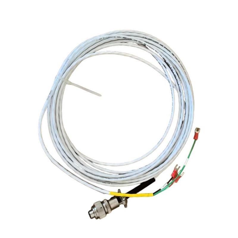 Bently Nevada 16925-32 Interconnect Cable Trusted supplier