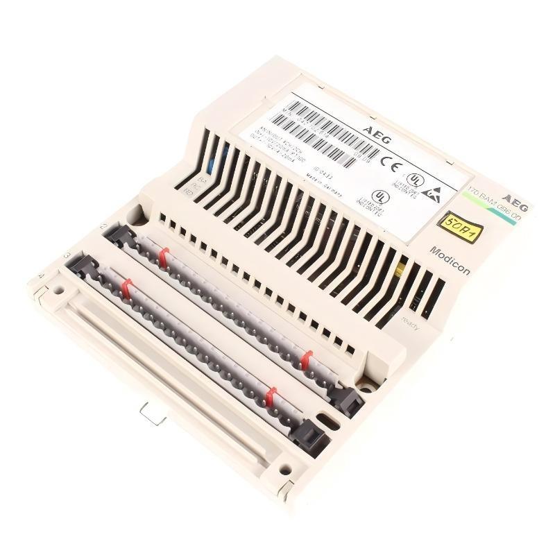 Schneider 170BAM09600 Analog I/O Mod