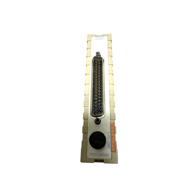 OVATION 1C31125G02 Digital Output Module Original