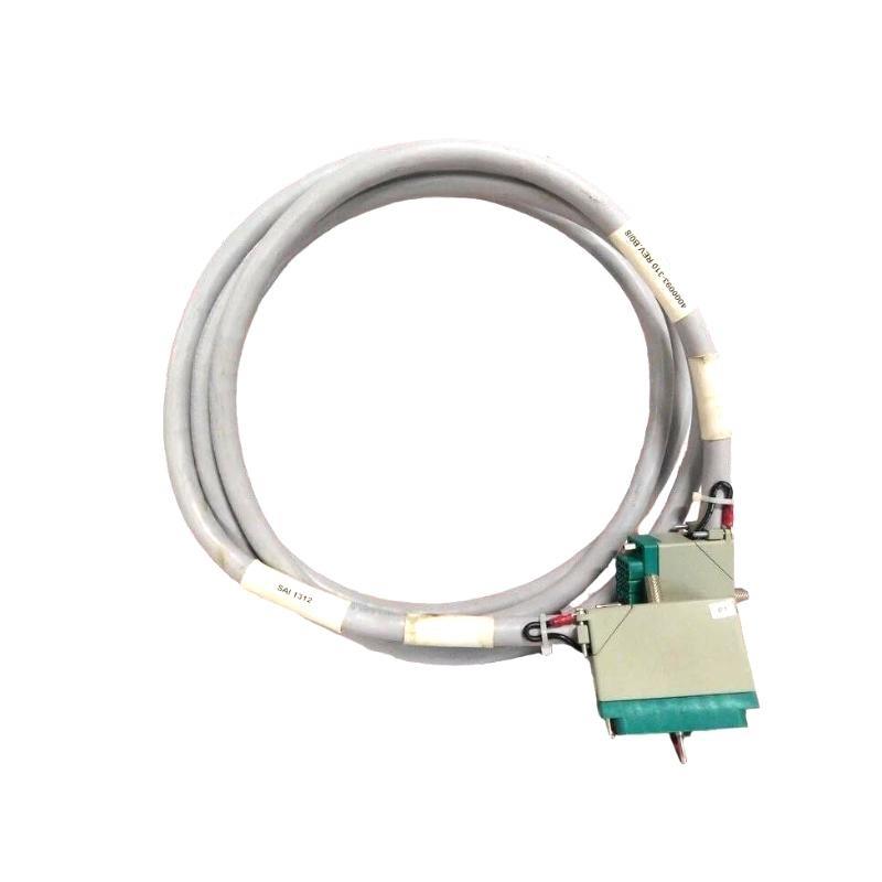 Triconex 4000093-310 Input Terminal Cable Assembly 100% New