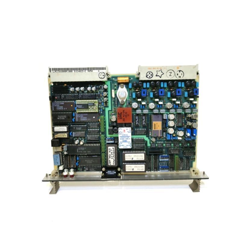 ABB 81EA02E GJR2366000R1000 Procontrol P14 Analog Signals Input Module New In Stock