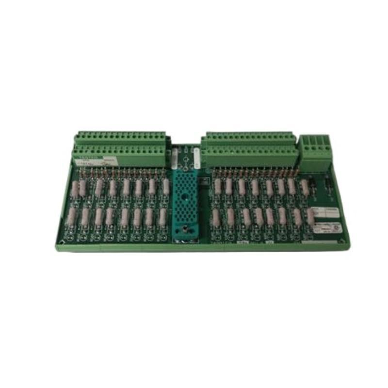 Triconex 9561-810 Industrial Control