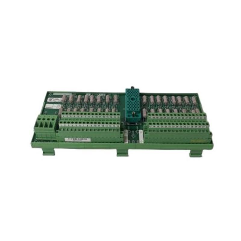 Triconex 9561-810 Industrial Controllers 30-Day Returns！