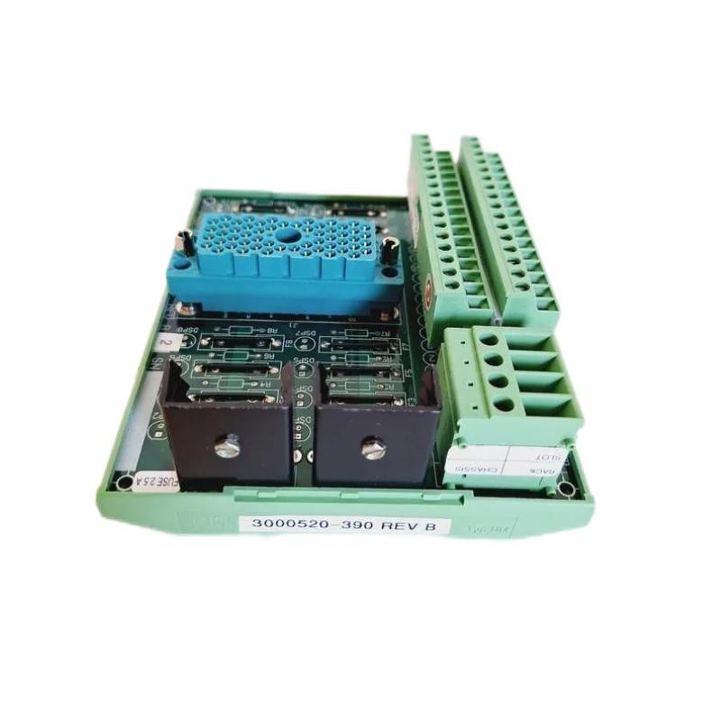 Triconex 9562 3000520-390 Terminal P