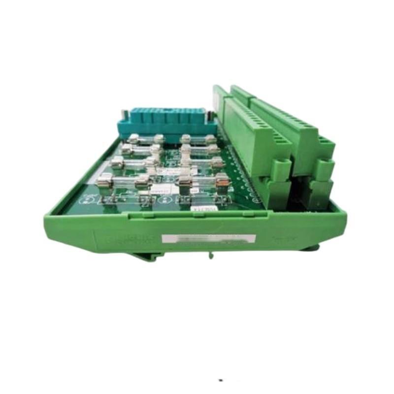 Triconex 9674-810 Digital Output Ter