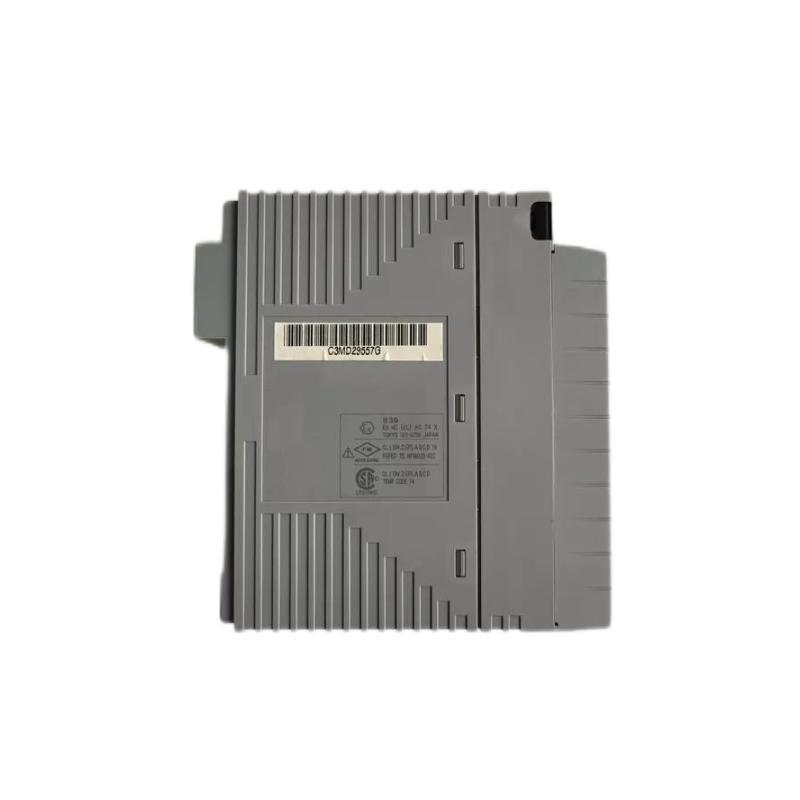 Yokogawa AAI143-H00/K4A00 Analog Inp