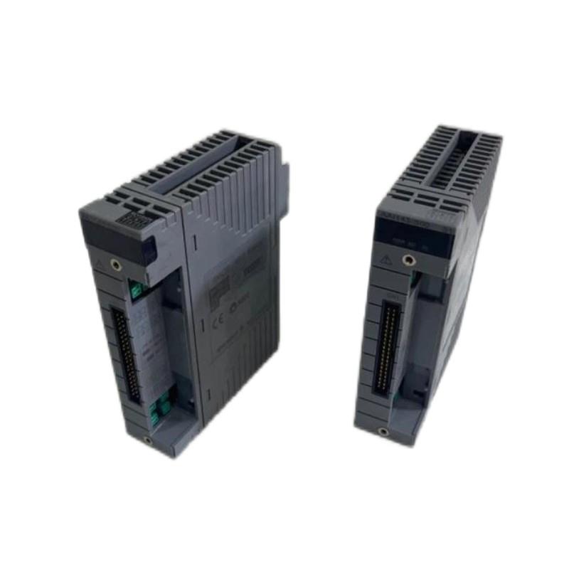 Yokogawa AAI143-S03/A4S00 Analog Inp