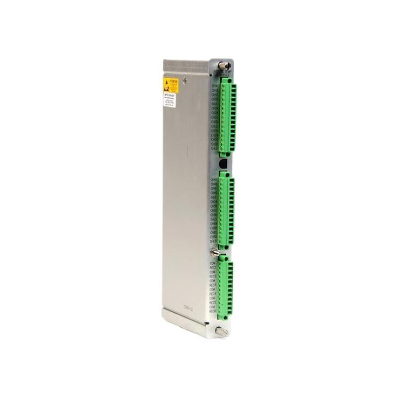 Bently Nevada 3500/61-01-00 133819-02 RTD/TC Non-Isolated Input/Output Module Internal Terminals Original