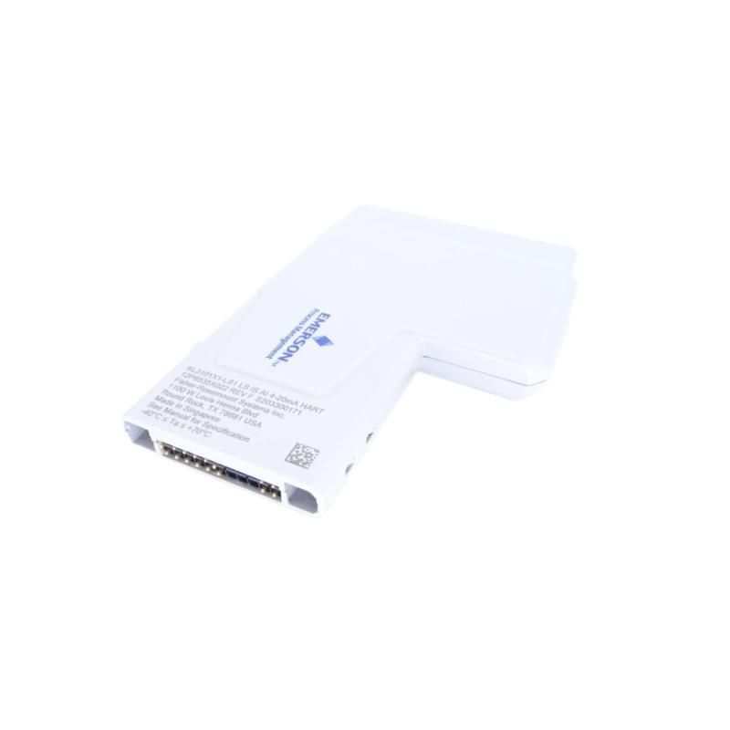 Emerson KL3101X1-LS1 Intrinsically S