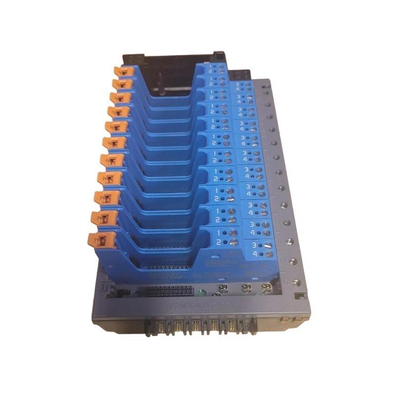 Emerson KL4210X1-BA1 CHARM Terminal Address Terminal Block Trusted supplier