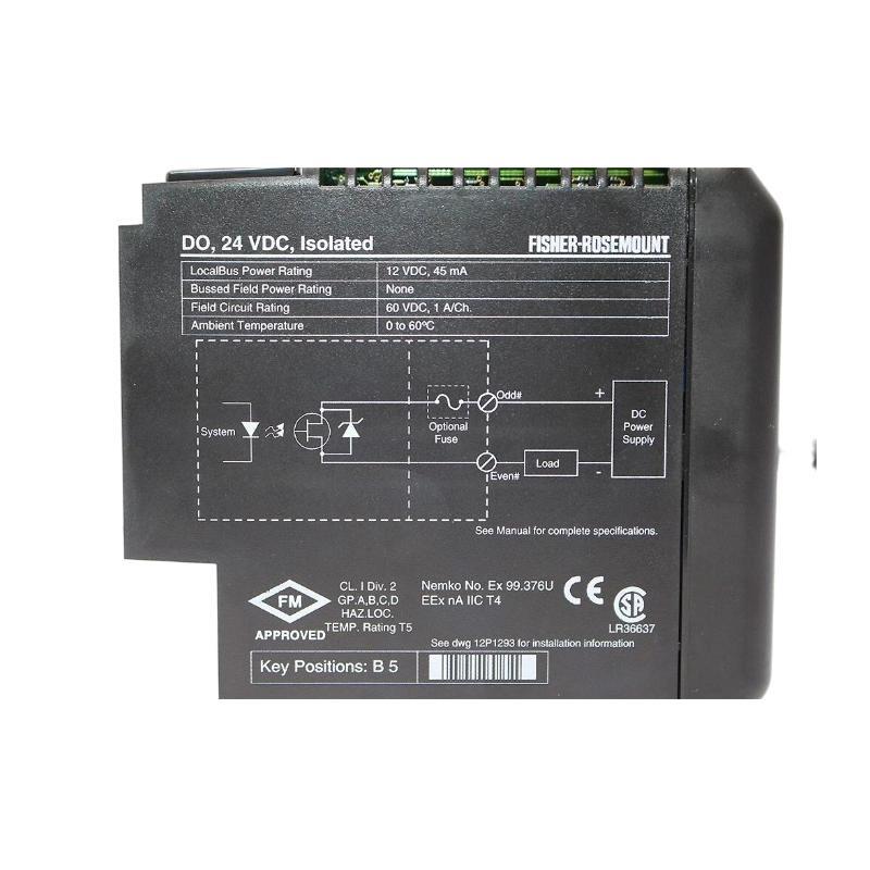 Emerson VE4002S1T1B2 Discrete Output