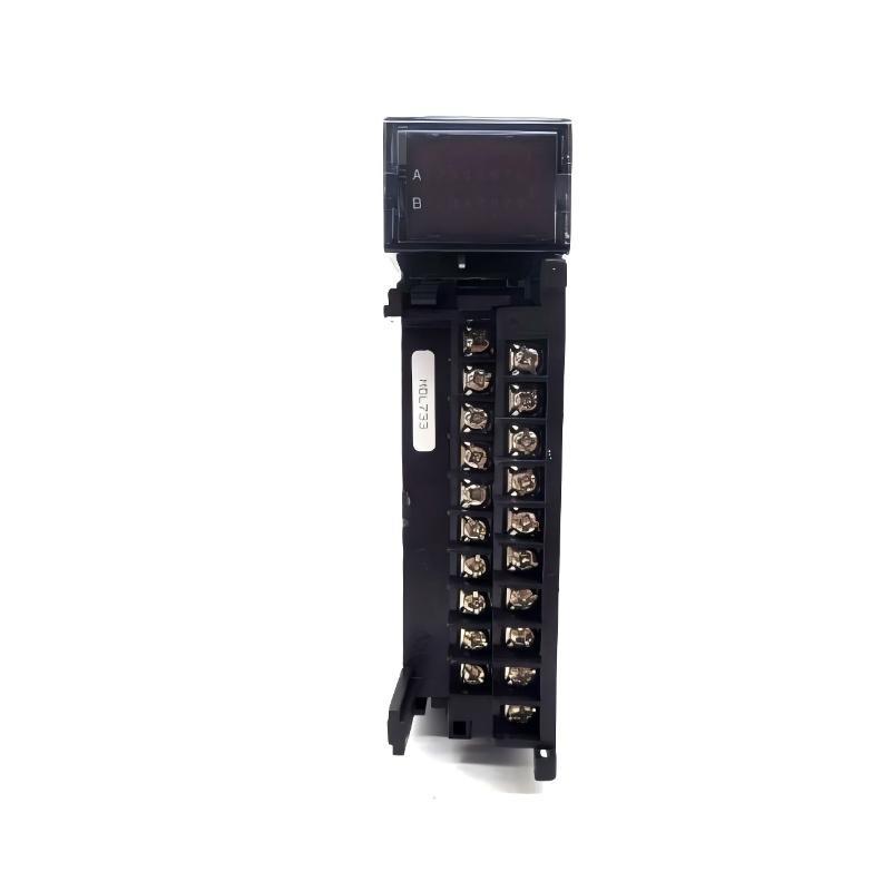 GE Fanuc IC693MDL733 Positive/Negati
