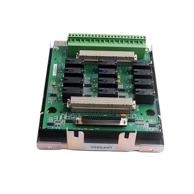 GE Fanuc IS230SRLYH2A IS200SRLYH2AAA Digital Output DIN Rail Module New In Stock