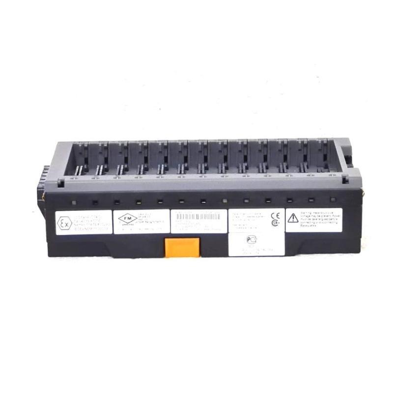 Emerson SE4601T07 KL4201X1-BA1 I.S. 