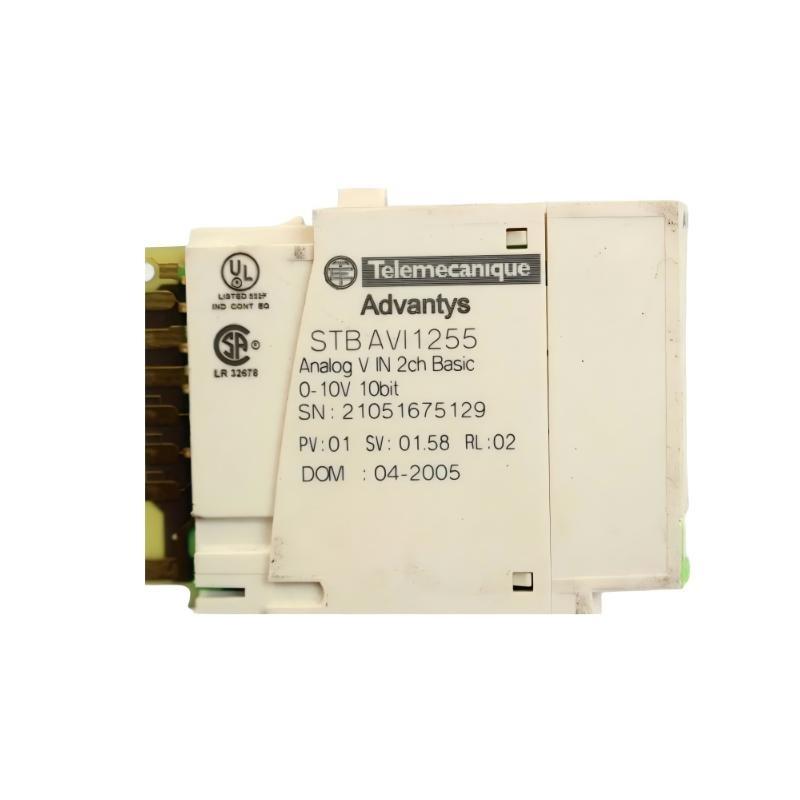 Schneider STBAVI1255 Basic Analog Input Module Original