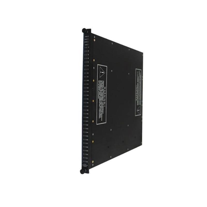 Triconex 3617E Supervised Digital Output Module New In Stock