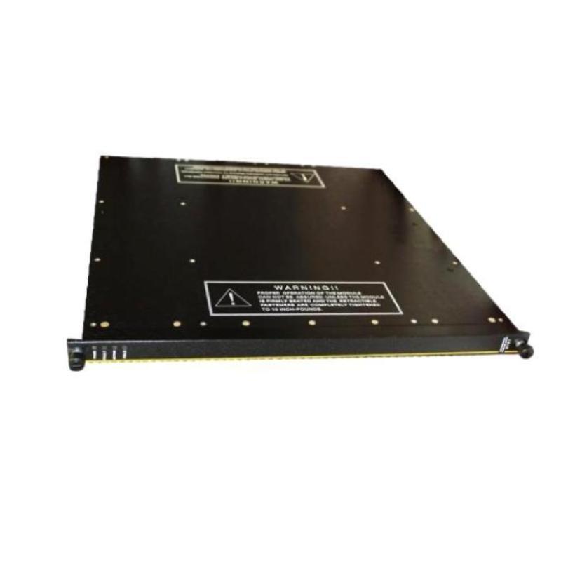 Triconex 3617E Supervised Digital Output Module New In Stock