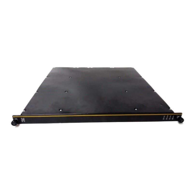 Triconex 3720 7400243-115 Analog Input Modules New In Stock