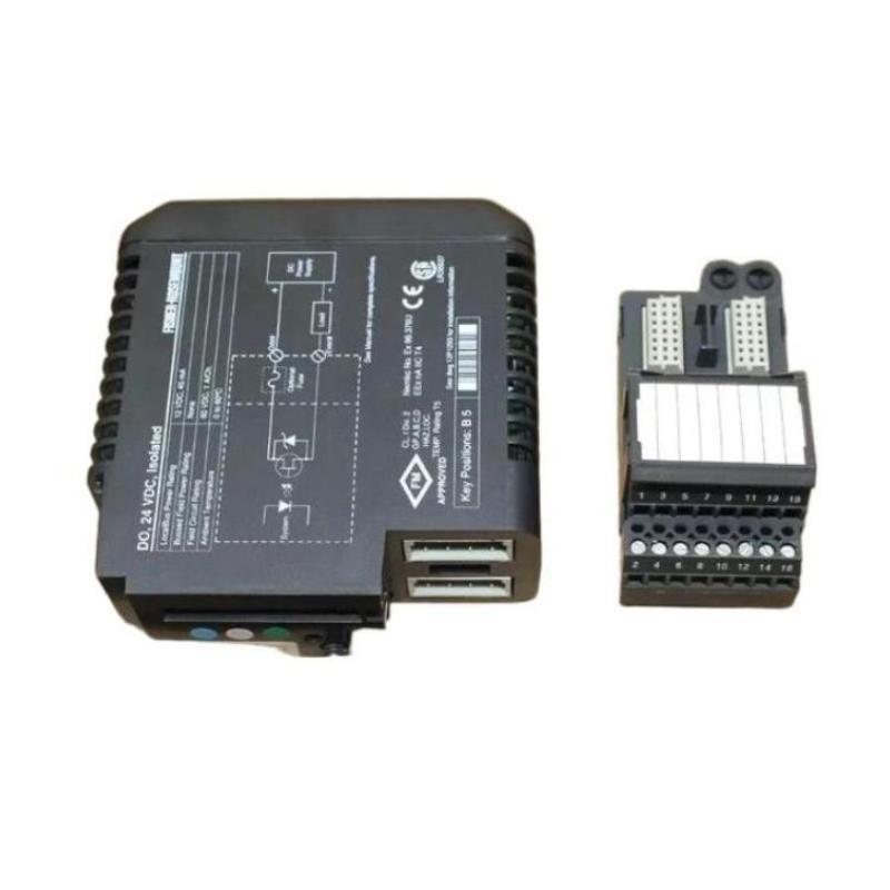 Emerson VE4002S2T2B8 Discrete Output