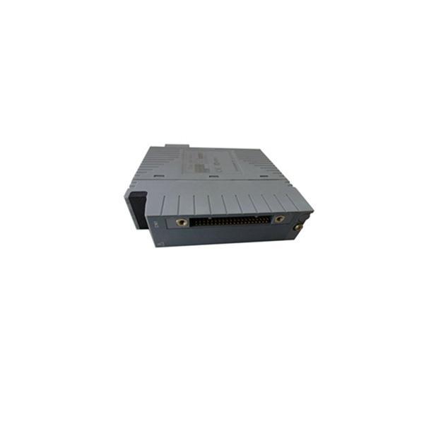 Yokogawa AAM11