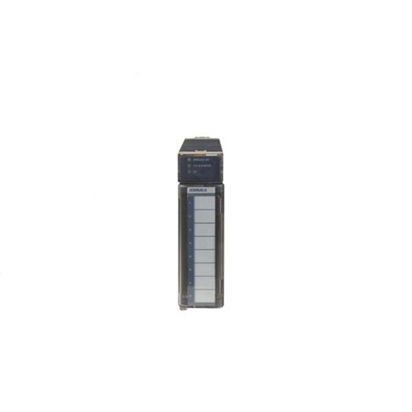 GE Fanuc DS3800NGDC1A1A