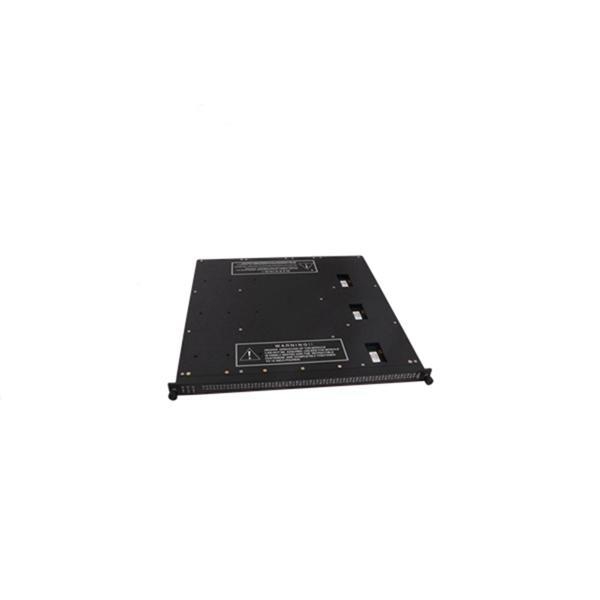 Triconex 4351B