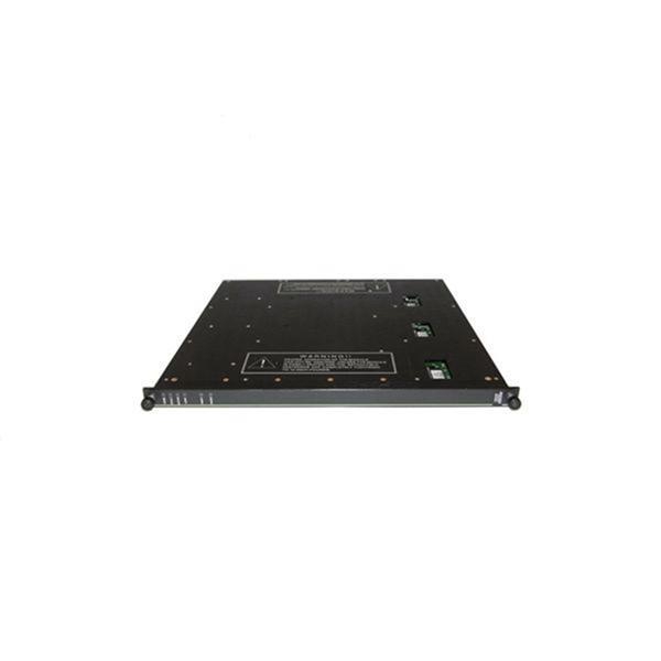 Triconex 4329 Module