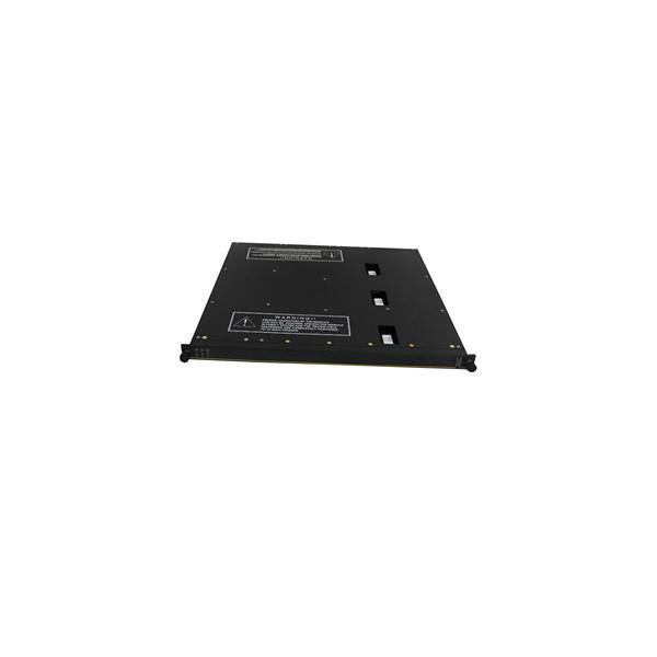 Triconex 8300A